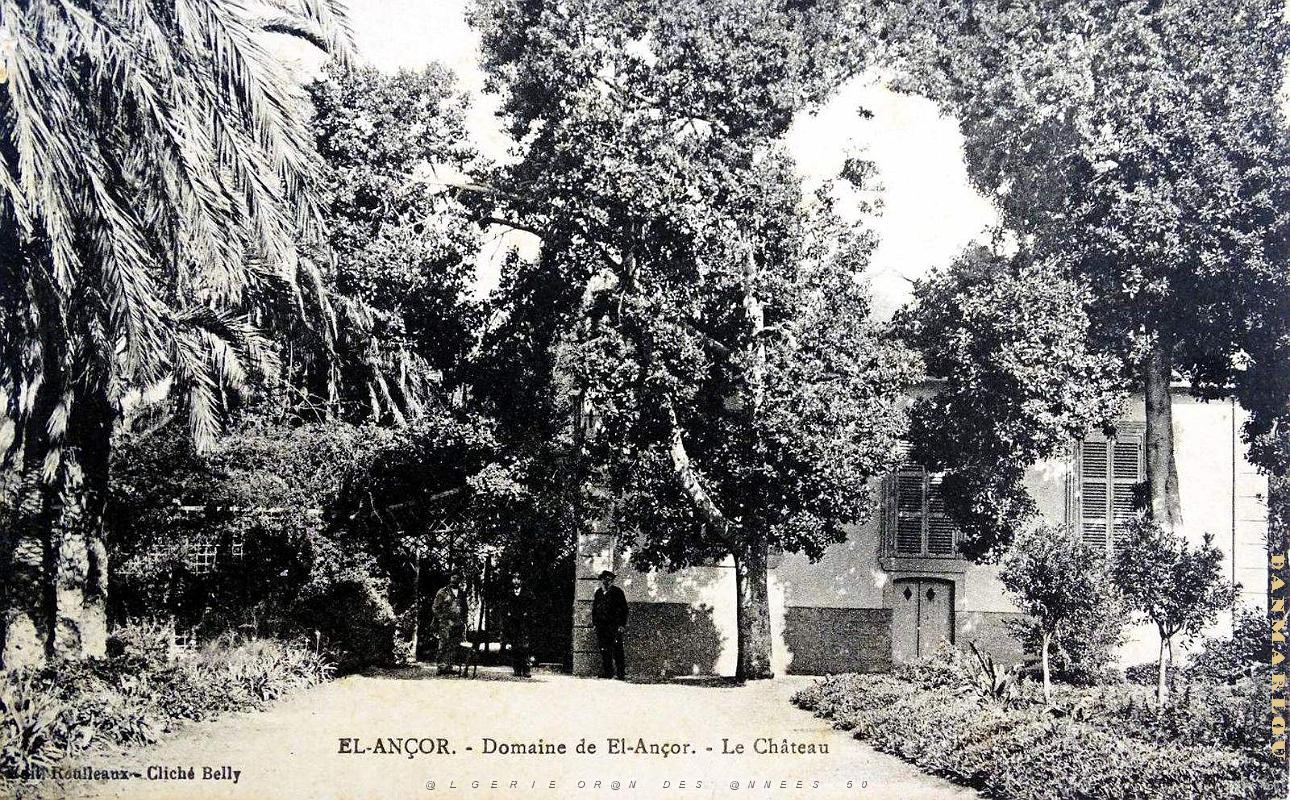 El-Ancor - Domaine Le Chateau.jpg